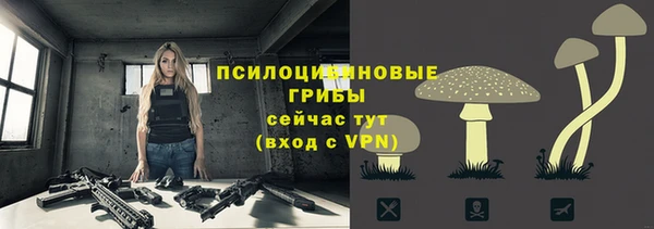 твердый Заволжск