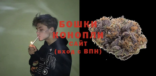mdma Заводоуковск