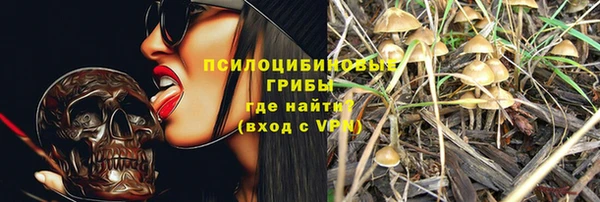mdma Заводоуковск