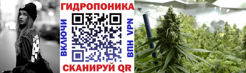 Бошки марихуана гибрид Куса