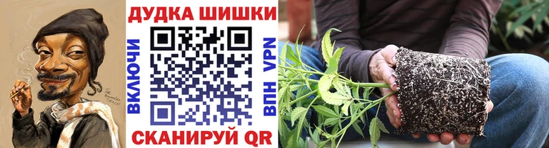Бошки марихуана Bruce Banner  Купить закладки  Куса 